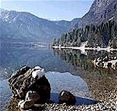 Bohinjsko jezero