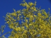 DSC07695.JPG