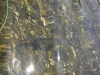 DSCN5573.jpg