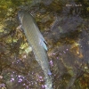 DSCN6299.jpg