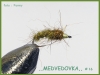 MEDVEDOVKA.jpg