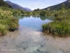 zelenci.jpg
