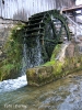 krka-1.jpg